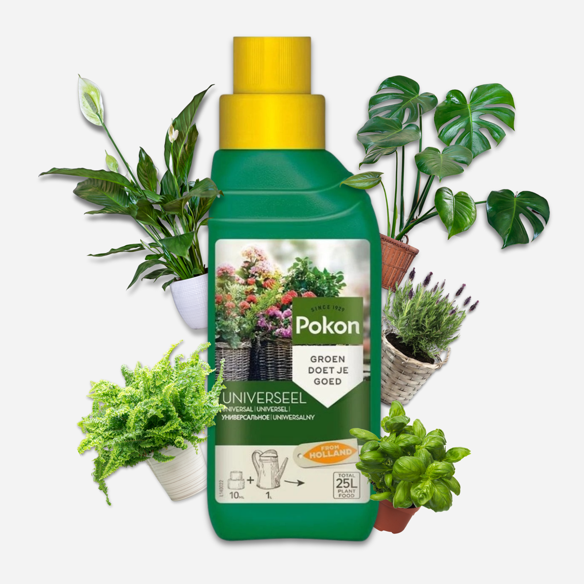 Oasis of Life - Wholesale Fertilizer - Pokon Universal Liquid Plant Fertilizer – 500ml – High-Quality Liquid Fertilizer for Houseplants & Garden Plants – Promotes Growth, Flowering & Root Formation – For Indoor & Outdoor Plants3