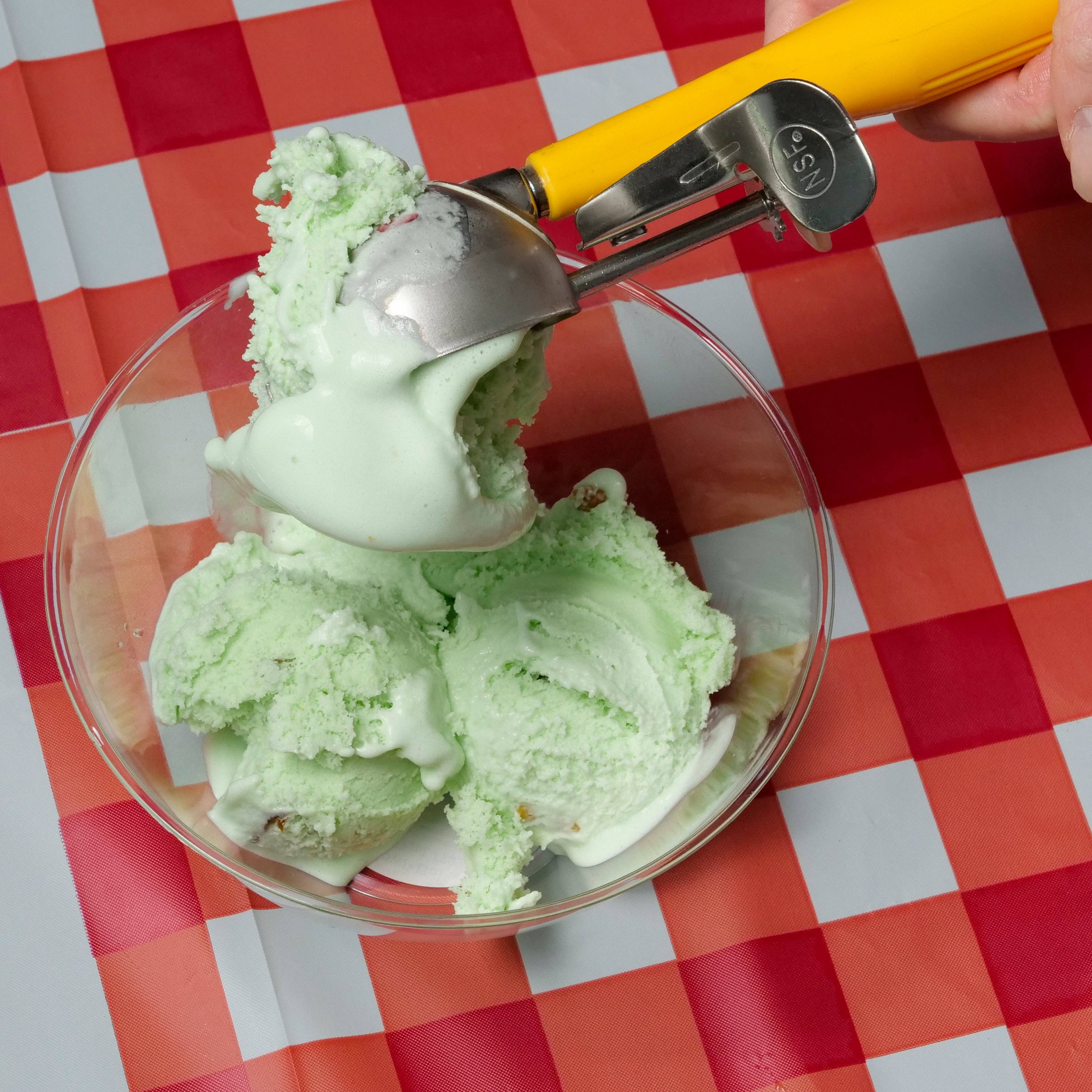 EcoQuality - Wholesale Ice Cream Scoop - Stainless Steel Ice Cream Scoop with Trigger Lever4