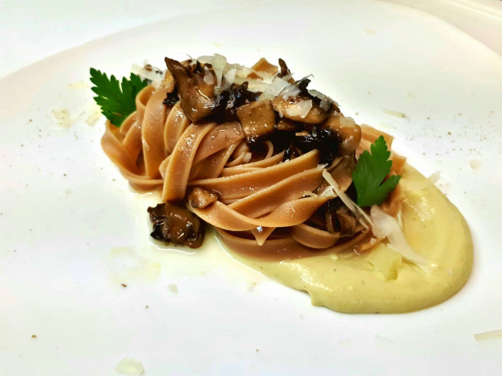 Antico Pastificio Morelli 1860 - Wholesale Pasta - Artisanal Pasta Italian Tagliatelle with Mushrooms 250g1