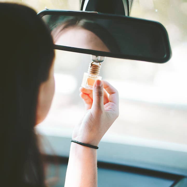 Skin Revival – wholesale Luftrenare för bil – Unisex – Bildiffusor - Hängande Bildiffusor - ALBATROSS3