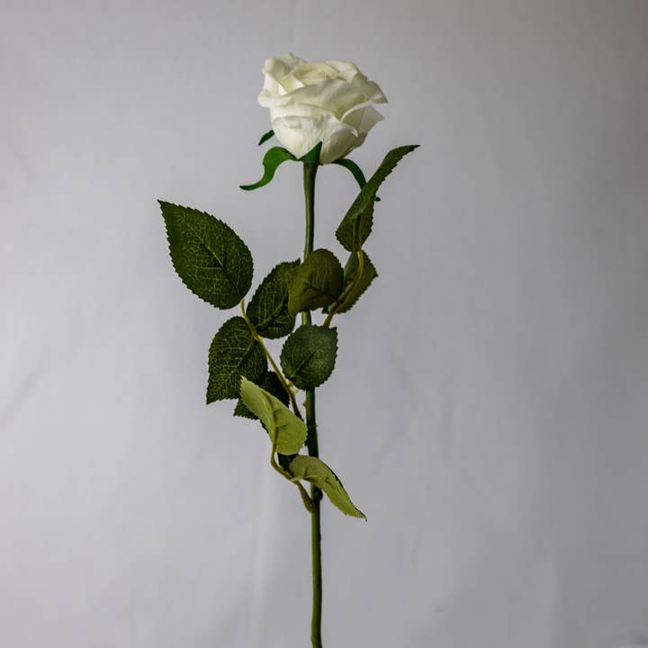 Realistic Artificial Flowers - Wholesale Artificial flowers - White Real Touch Half Bloom Rose - Realistic Artificial Flowers3