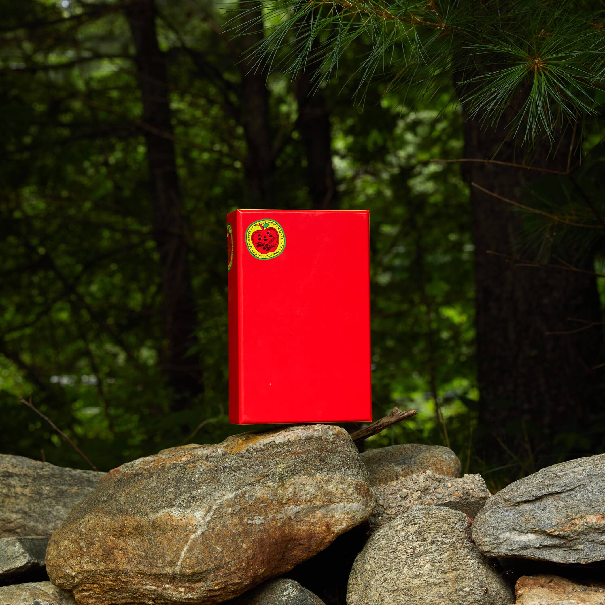 Le Puzz - Vente Puzzle – adulte - Puzzle miniature 81 pièces rouge uni « Pomme plate »6