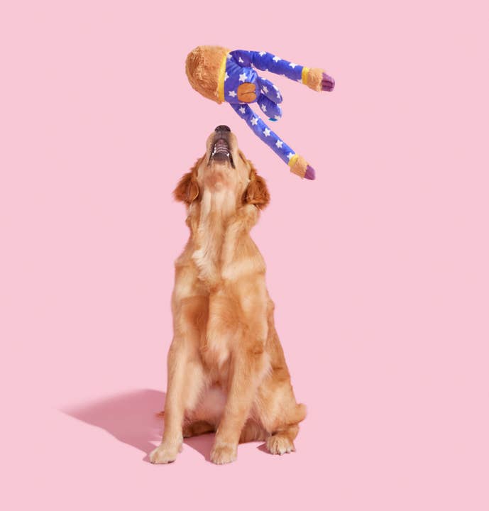 Pet Palette Distribution - Wholesale Pet Plush Toy - Dog - BARK Slow Jams Dan Plush Dog Toy