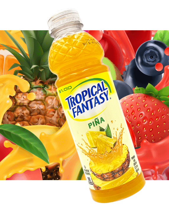 L&F Universal Goods – Sumo de fruta por atacado – Bebida Tropical Fantasy Suco/Limonada 650 a 680 ml Variados8