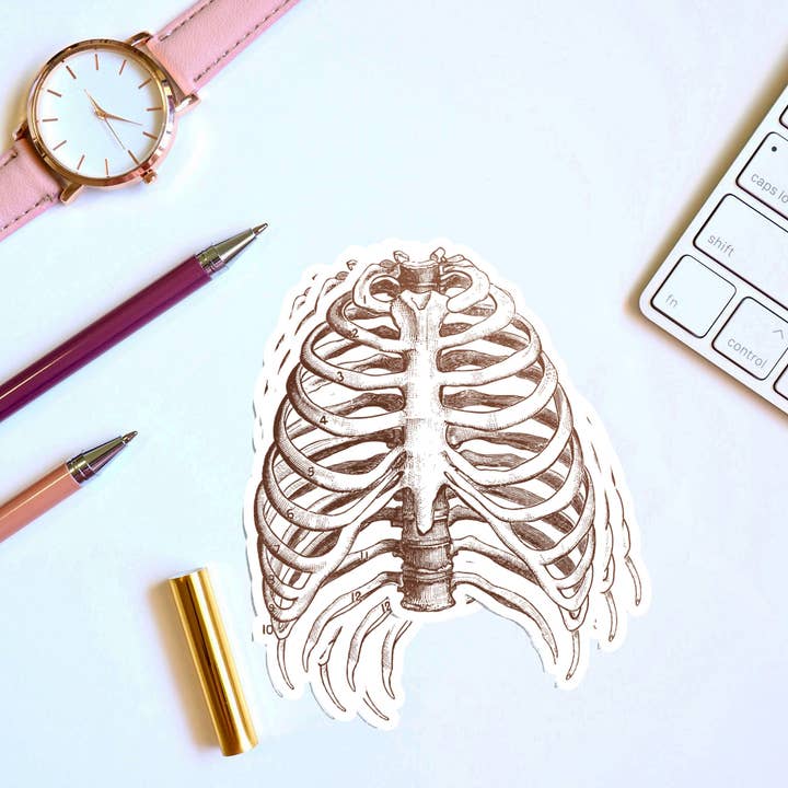 anatomie des côtes pour la vente par Charlie's Bookstore