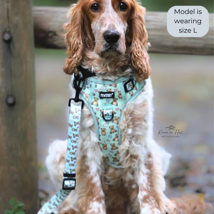 PawStory – Arnês – Cão por atacado – Peitoral Trail Buddy - Bear Hugs2