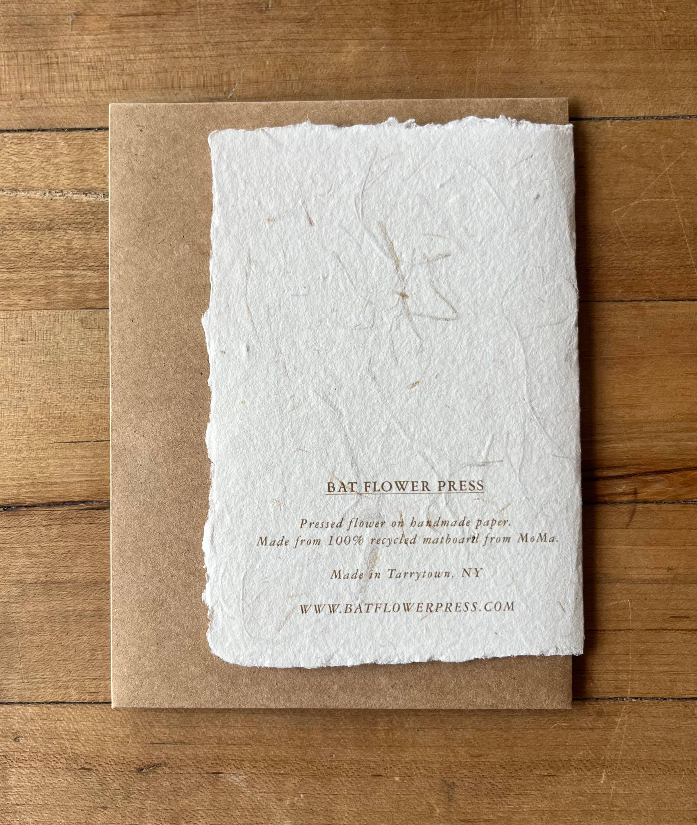 Bat Flower Press - Wholesale Everyday Greeting Card - Baby's Breath Pressed Flower Card2