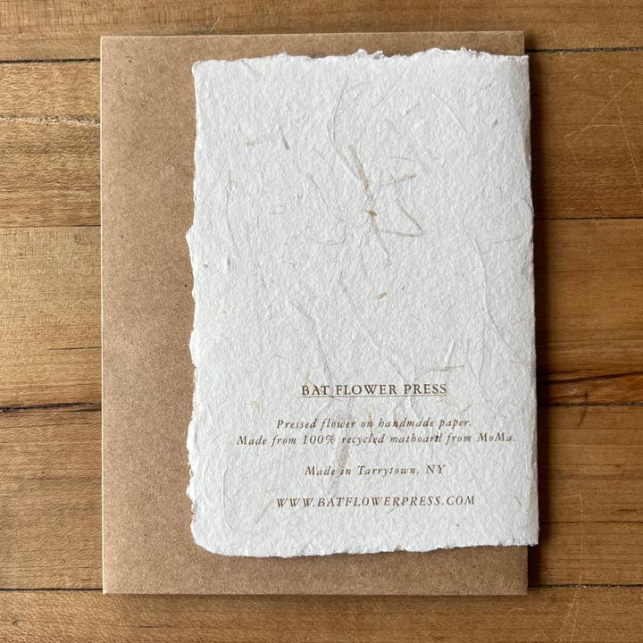 Bat Flower Press - Wholesale Everyday Greeting Card - Baby's Breath Pressed Flower Card2