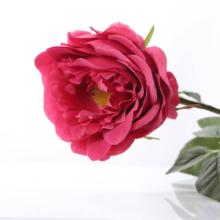 Mezu Silk Flowers – Großhandel Künstliche Blumen – Künstliche dunkelrosa große einzelne alte englische Rose