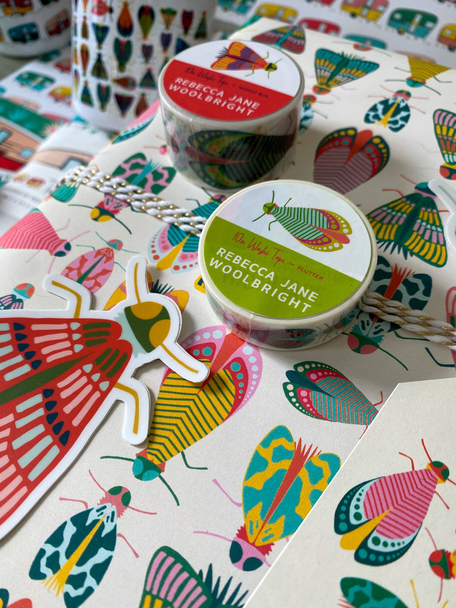 Rebecca Jane Woolbright - Vente Rouleau de papier cadeau - Papier Cadeau Éclat de Printemps – Emballage Cadeau Insectes Colorés (2 Feuilles)4