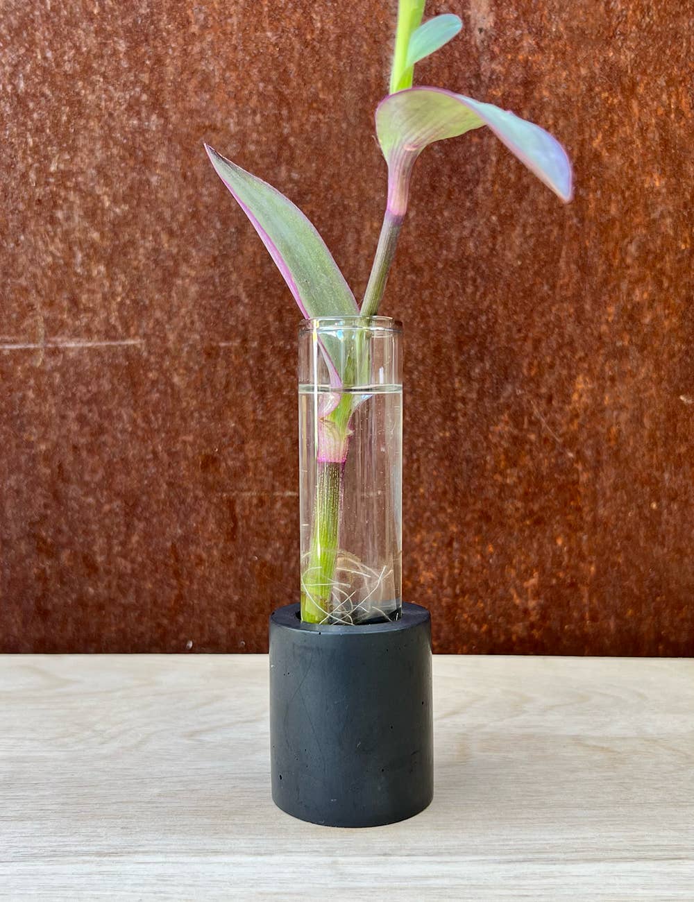 Well Hello Studio - Wholesale Vase - Earth Tone Cylinder Propagation Station