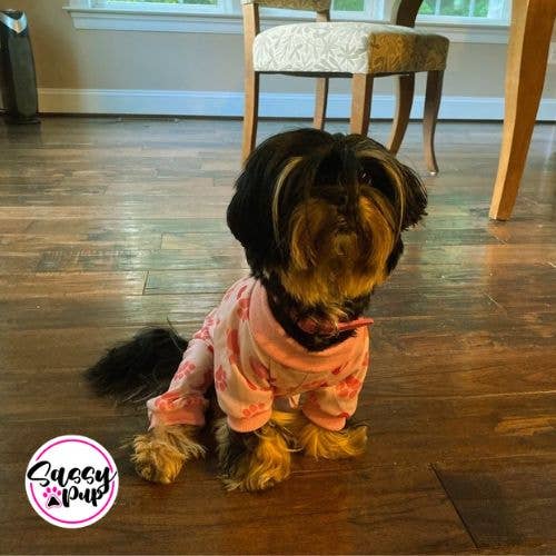 Sassy Pup LLC - Wholesale Pet Pajamas - Dog - Sassy Pup Pink Pajamas with Hearts and Paw Prints