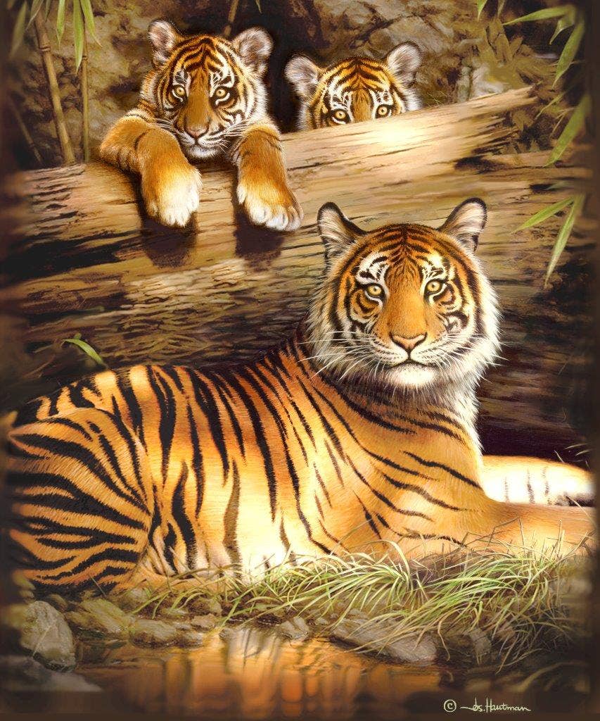 Duke Imports - Venta al por mayor Manta de cama - Manta de piel sintética de peso medio "Quiet Fire" de 1 capa0