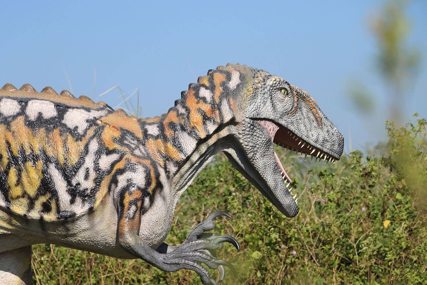 LM Treasures - Wholesale Figurine Toy - Kids - Australovenator Dinosaur Life Size Statue4