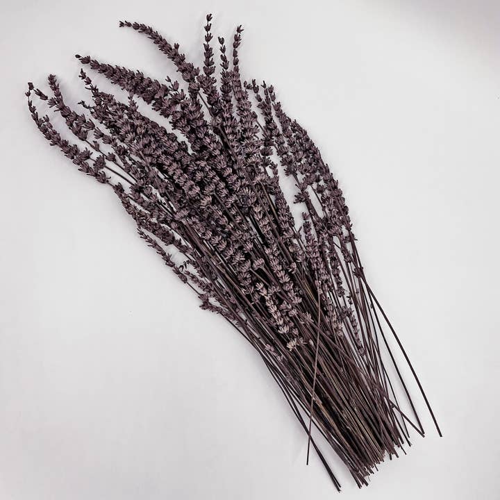 2626 Designs – Flores secas/prensadas por atacado – Ramos de Lavanda Seca Preservada 21" Várias Cores