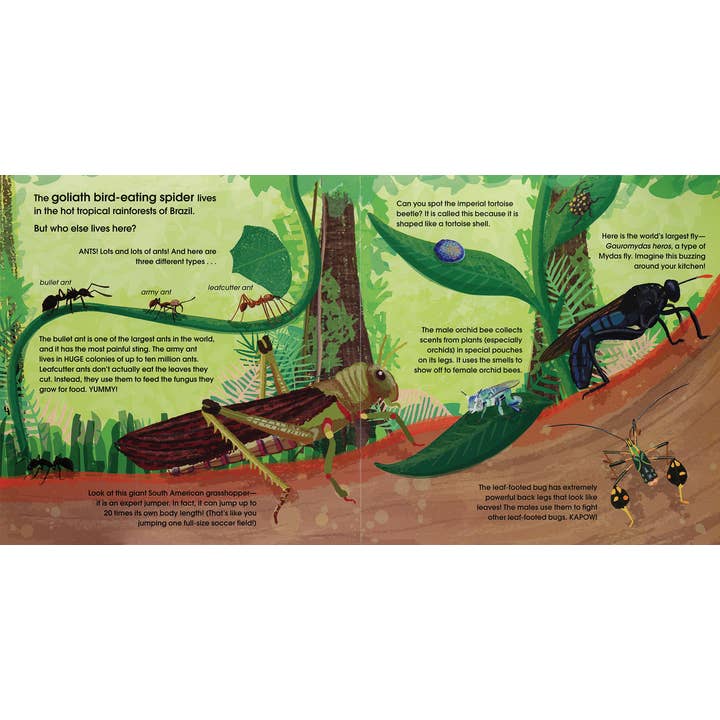 EDC Publishing - Wholesale Preschool Book (3-5) - Lifesize Creepy-Crawlies (Mini Book)2