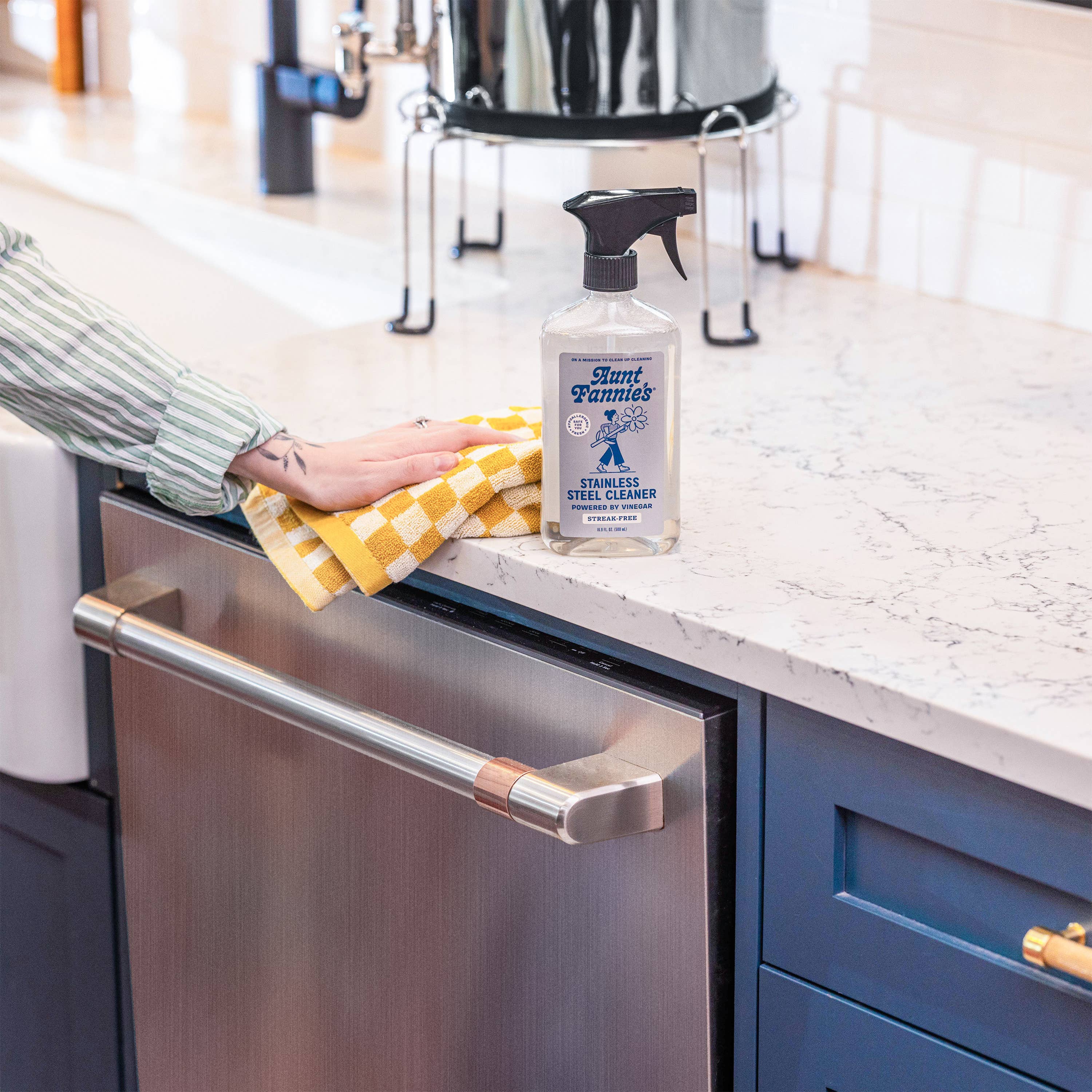 Aunt Fannie's - Wholesale All-Purpose Cleaning Spray - Stainless Steel Cleaner2