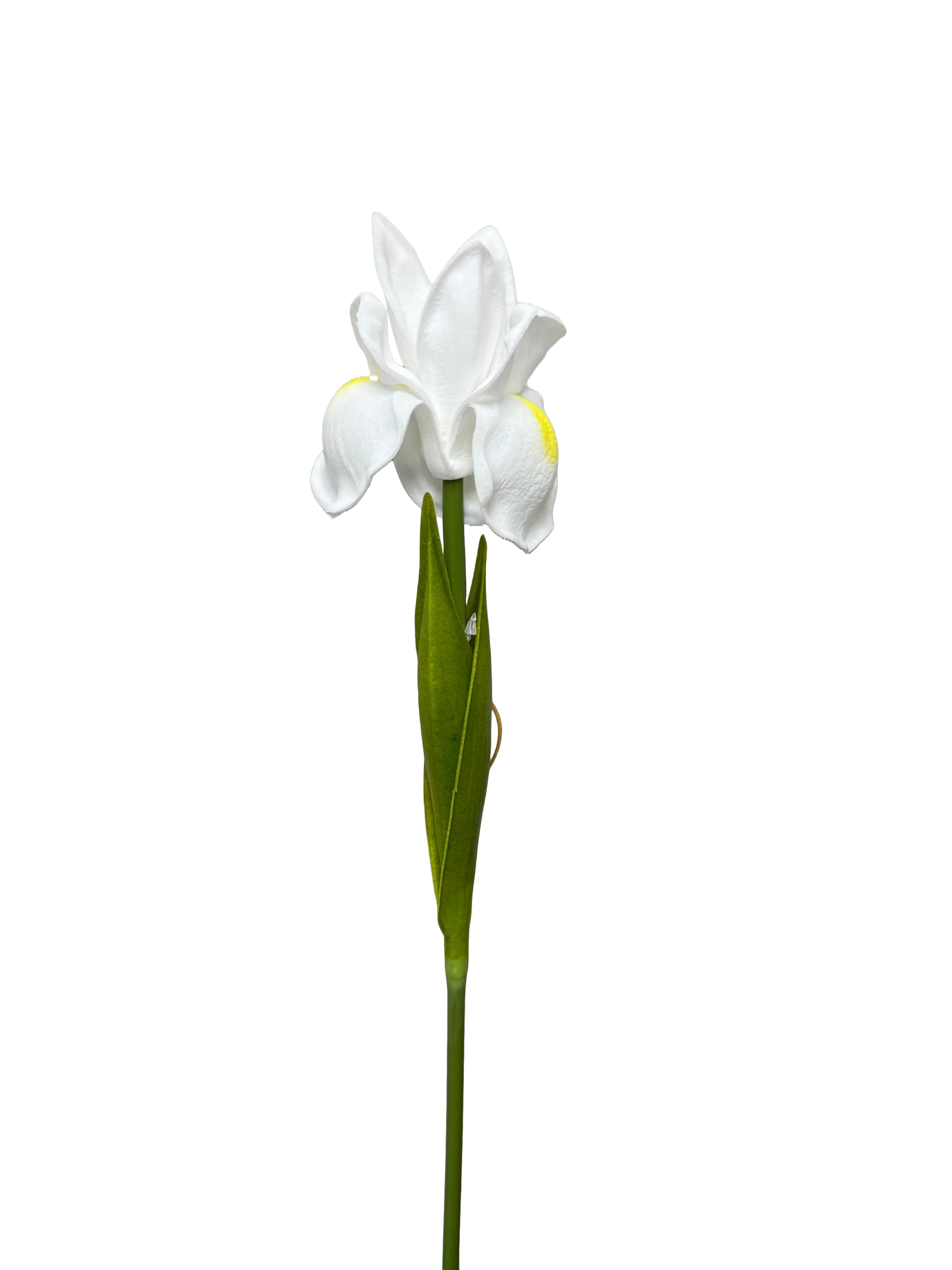 Angel Isabella - Wholesale Artificial Flowers - 18"-Ultra Soft Real Touch Bearded Iris Stem8