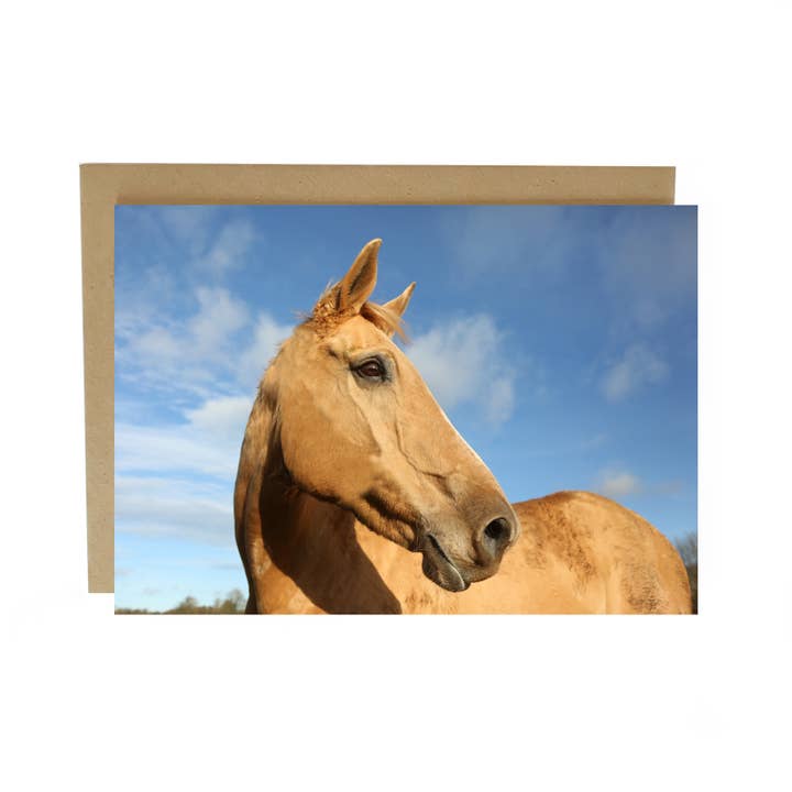 Horse Portrait Greeting Card for wholesale by Alex Sharp