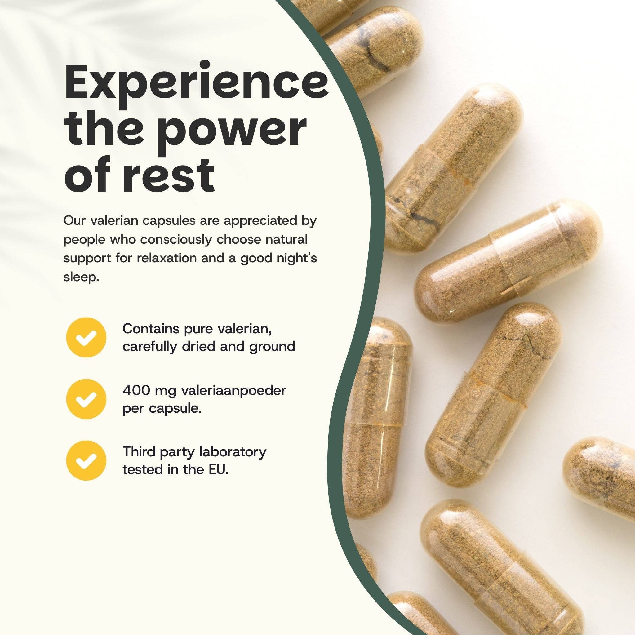 Cupplement b.v. – Suplemento/vitamina oral por atacado – Cápsulas de Extrato de Valeriana 500 mg 60 Cápsulas1