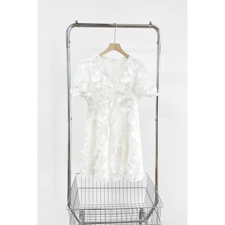 XHHH Inc - Wholesale Dress - Women's - X9035CD.3D Floral Embroidered Mini Dress1