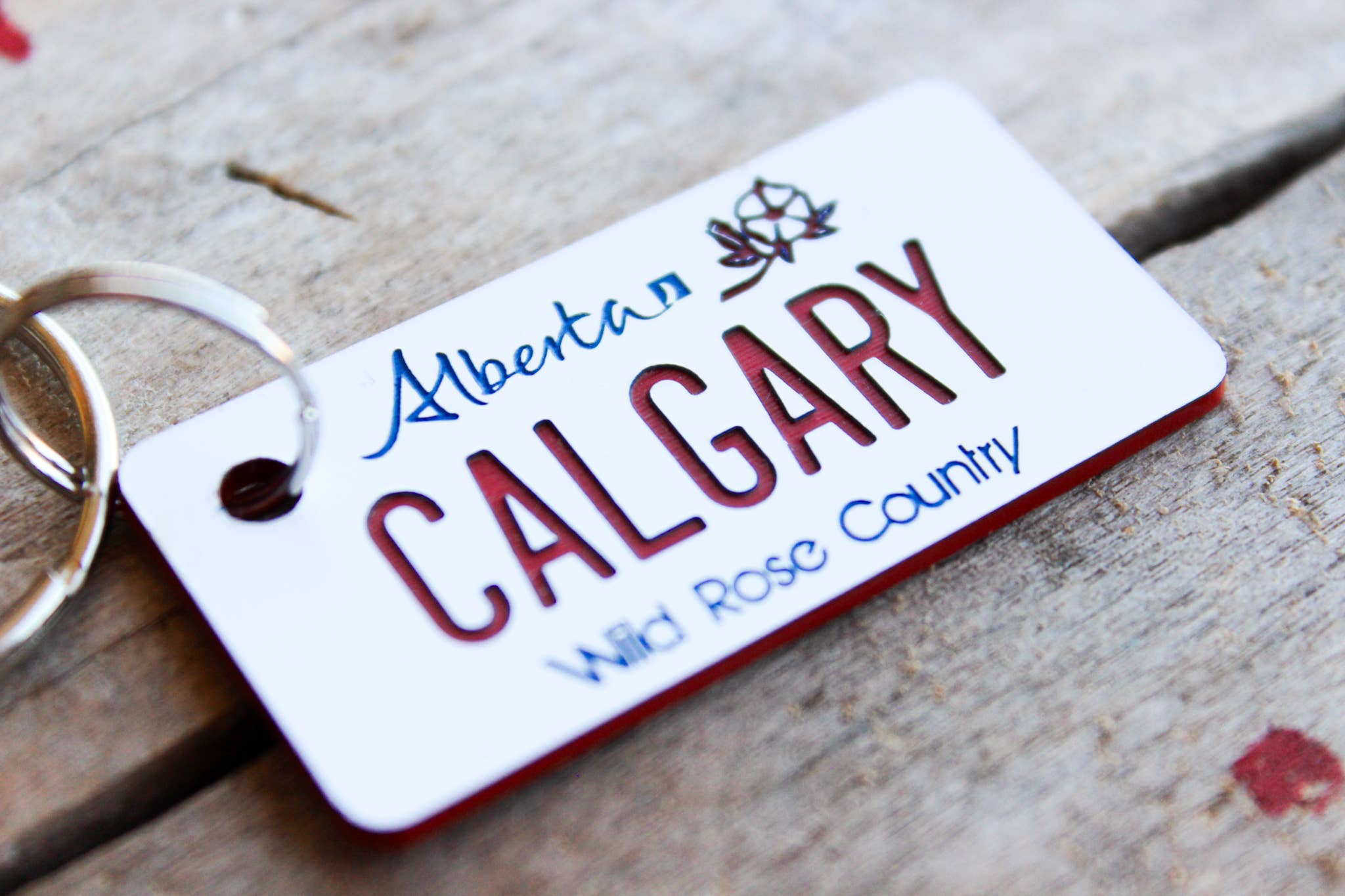 The Laundry Room Shop – Porta-chaves - Unissexo por atacado – Porta-chaves Personalizável de Plástico Gravado Personalizável - Canadá11