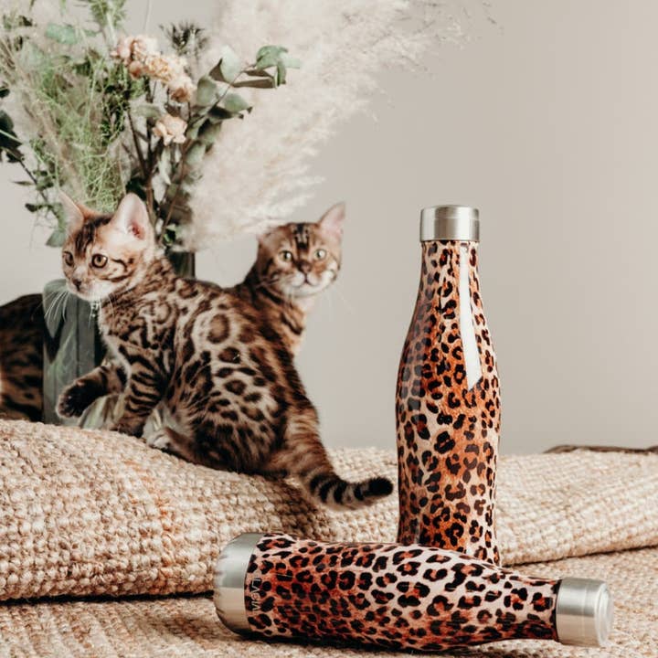 GLACIAL – wholesale Vattenflaska – GLACIAL Wild Leopard 600ml