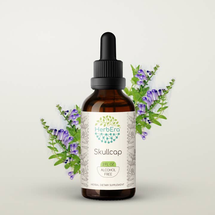 HerbEra – wholesale Tincture – Skullcap Tincture