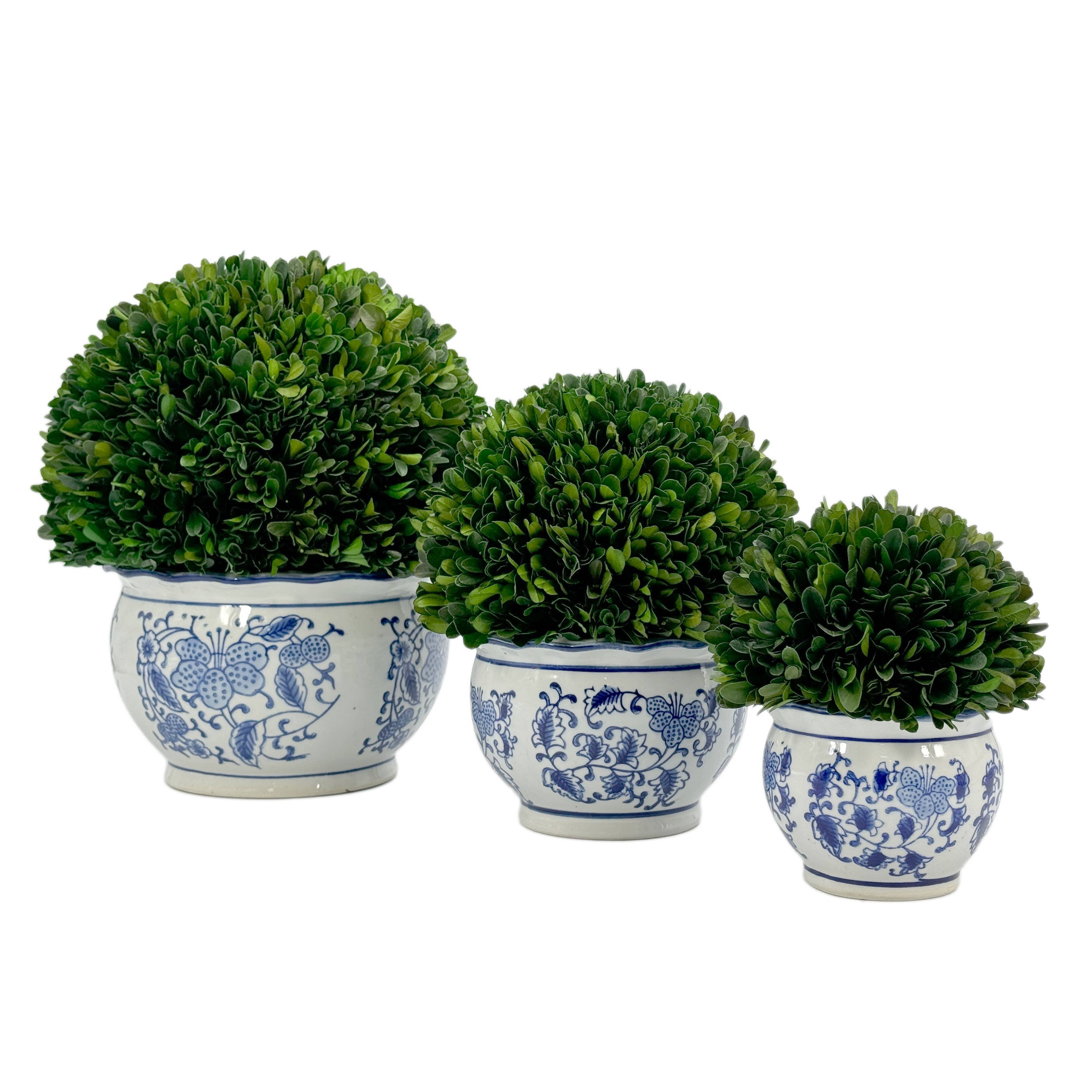 Galt International Company - Wholesale Kunstplant - Buxusbol-topiary in ronde blauw-witte keramische pot11