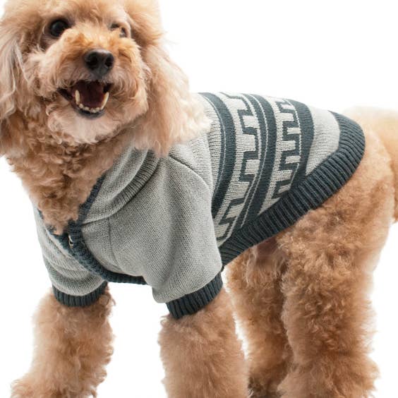 Manteau-pull à motif pour la vente par Dogo Pet