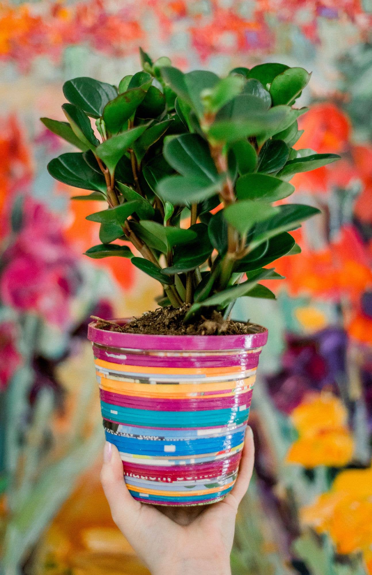 The Bead Project by TWOPU - Wholesale Plant Pot - Paper Planters4