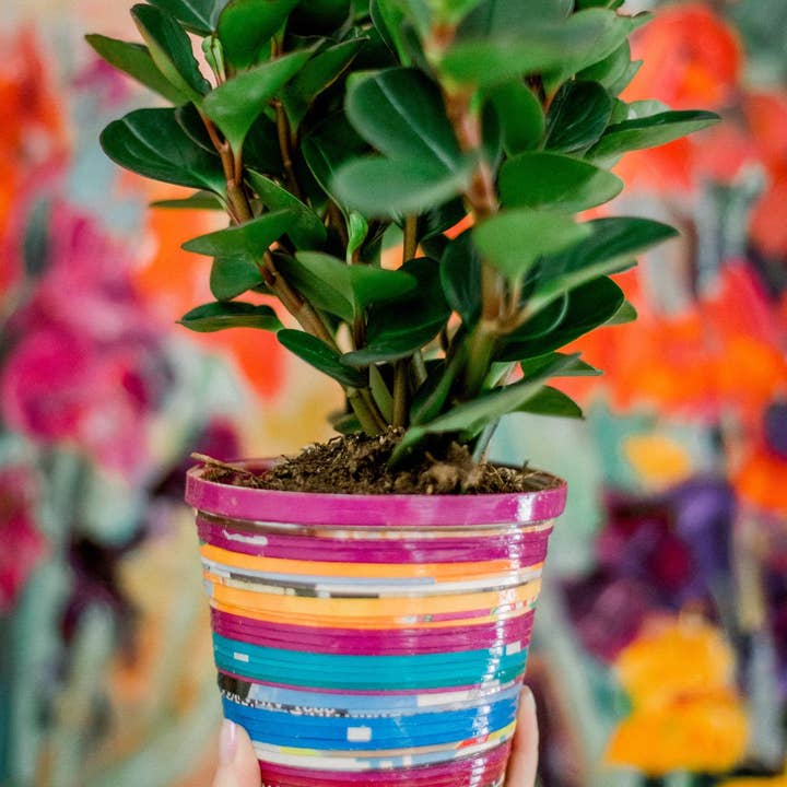 The Bead Project by TWOPU - Wholesale Plant Pot - Paper Planters4