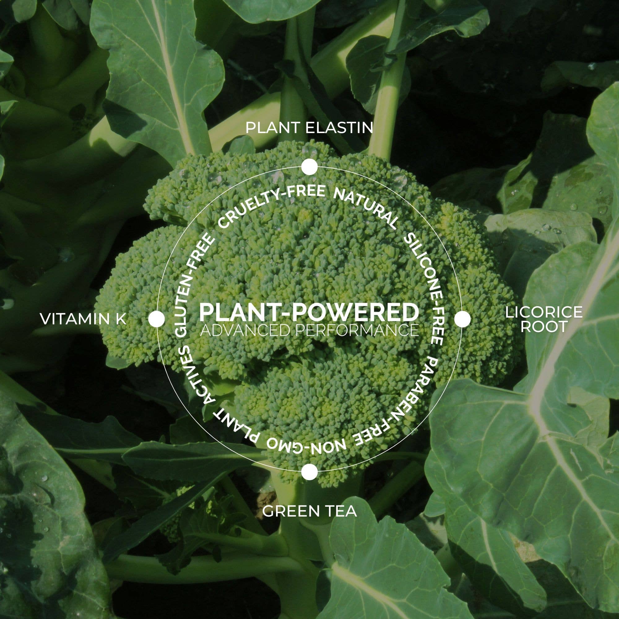 Fitglow Beauty - Wholesale Face Concealer - Conceal + Full Coverage Skin Treatment Face Concealer5