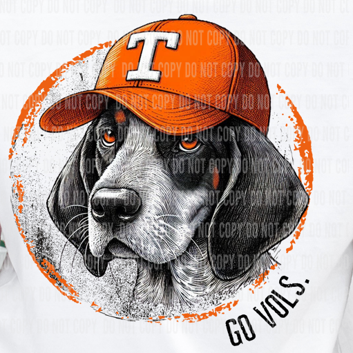 BB Subs and Screens - Wholesale Screen Printed T-Shirt - Kids - TN Volunteers Smokey Vols Infant, Toddler, Youth T-shirt1