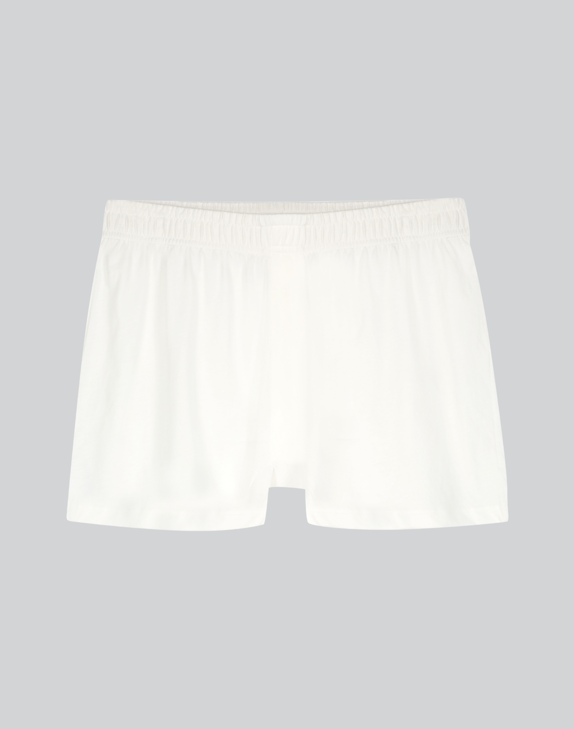 KENT – wholesale Underwear – Men's – Men's Organic Cotton “Breather" Brief (synthetic-free)3