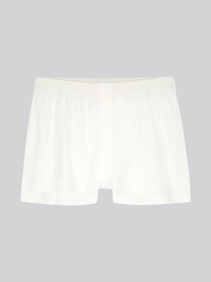 KENT - Wholesale Underwear – Men's - Men's Organic Cotton “Breather" Brief (synthetic-free)3