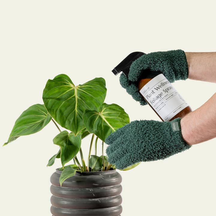 Fuliage - Wholesale Garden Gloves - Microfiber Plant Dusting Gloves2