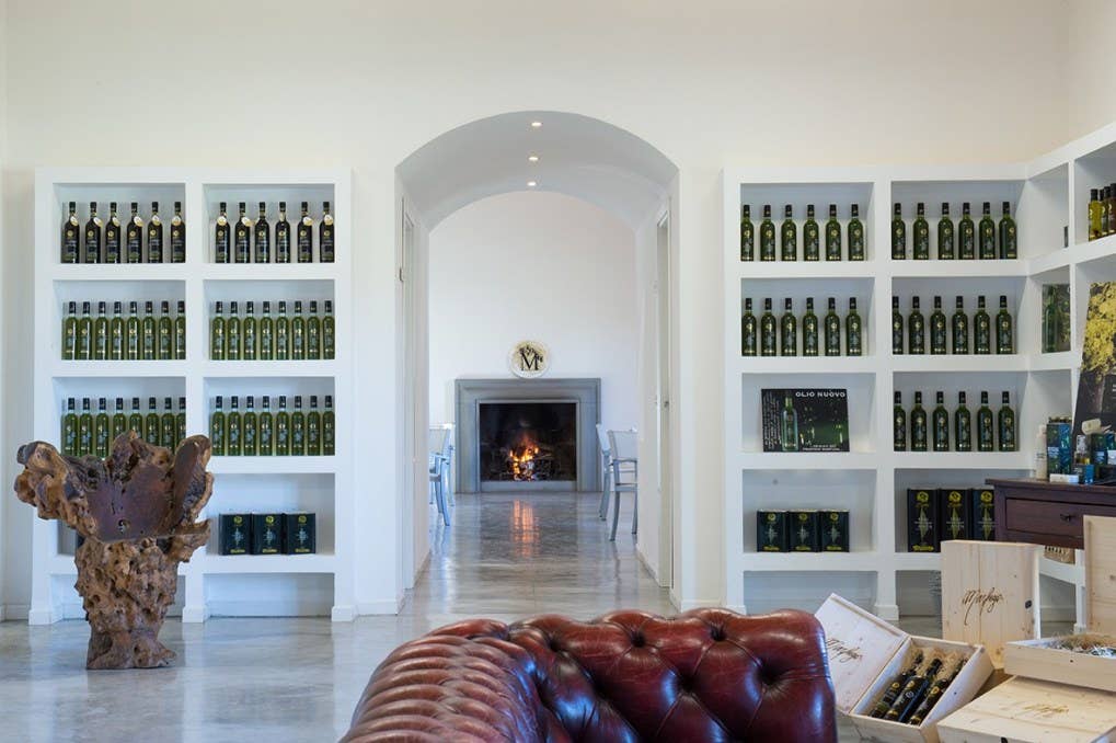 Italian Within - Vendita all'ingrosso Olio d'oliva - DOP Umbria MARFUGA RISERVA Colli Assisi — Spoleto6