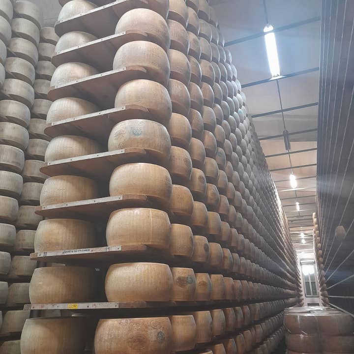 padoan - the real tastes of italy – Queijo por atacado – Parmigiano Reggiano DOP - Preço com idade 24 meses /500 gr