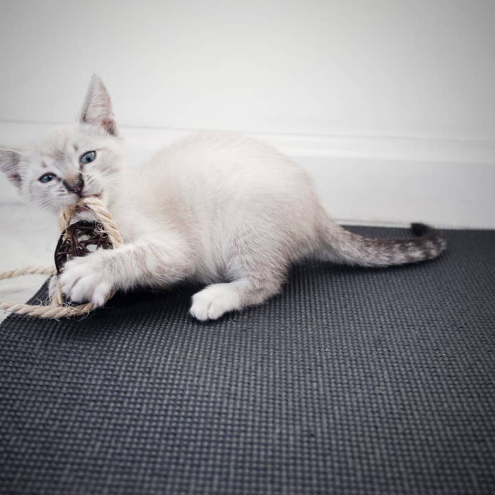 Feline Yogi – Großhandel Haustier-Kratzfläche – Katze – Schwarze Yoga-Katzenmatte4