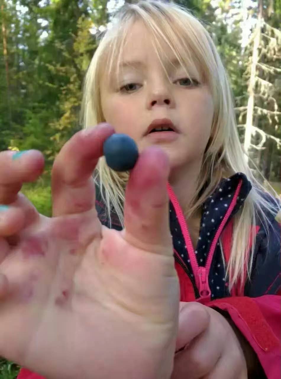 Nordic native pristine - Vente Supplément oral/vitamine - Méga vitamine pour les yeux à la myrtille7