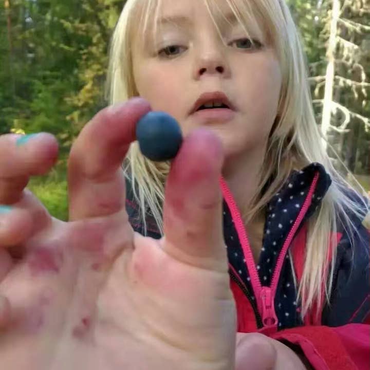 Nordic native pristine - Vente Supplément oral/vitamine - Méga vitamine pour les yeux à la myrtille7