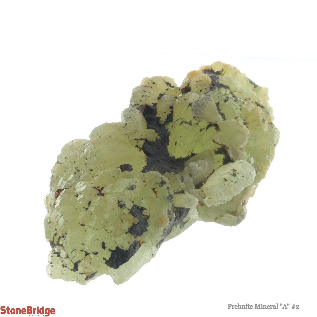 Stonebridge Imports - Vendita all'ingrosso Pietra/cristallo spirituale - Prehnite A Mineral #2 - da 12 g a 20 g2