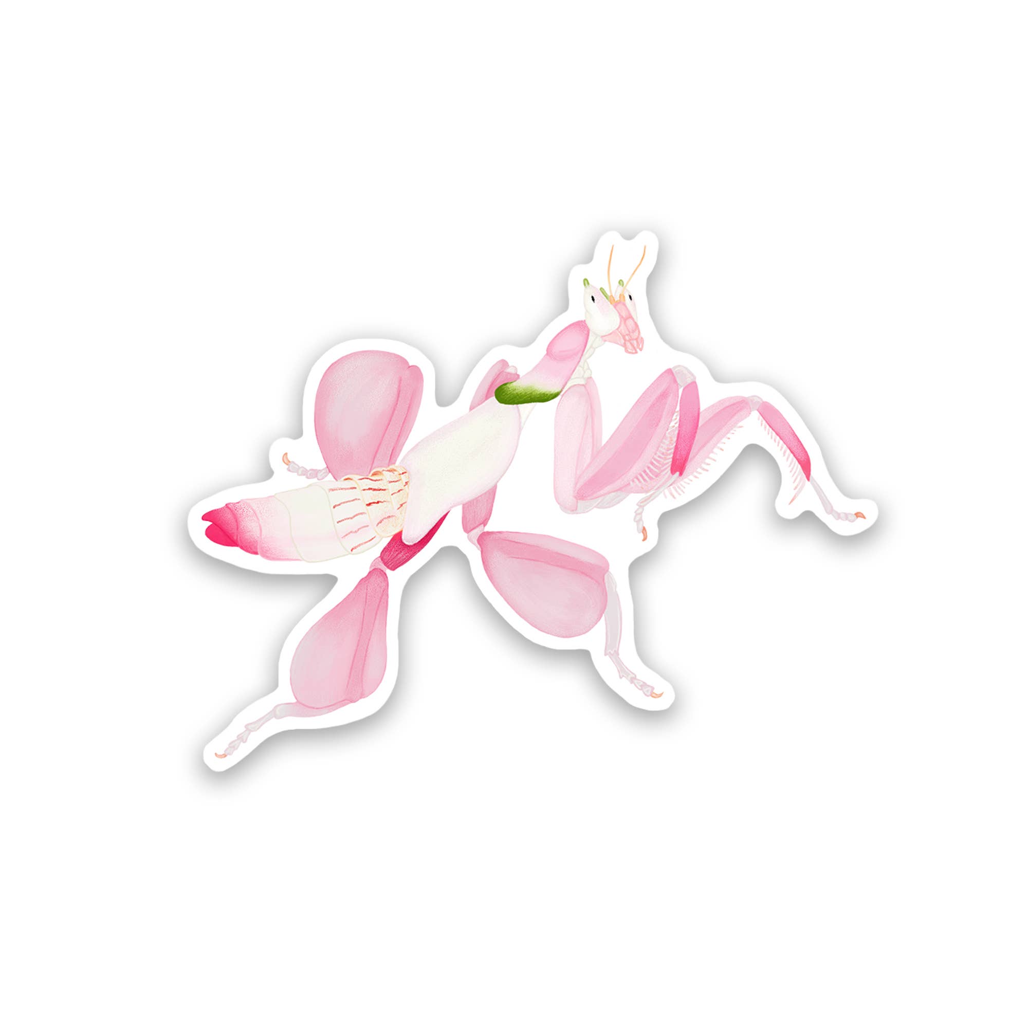 Proper Wolf - Wholesale Sticker - Orchid Praying Mantis Vinyl Sticker Decal0