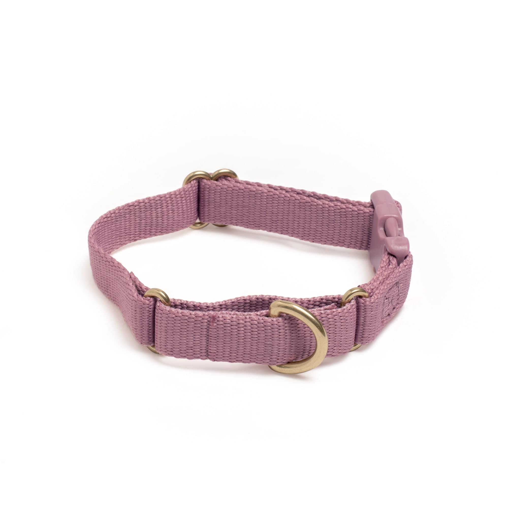 Awoo - Wholesale Pet Collar - Dog - Marty Collar8