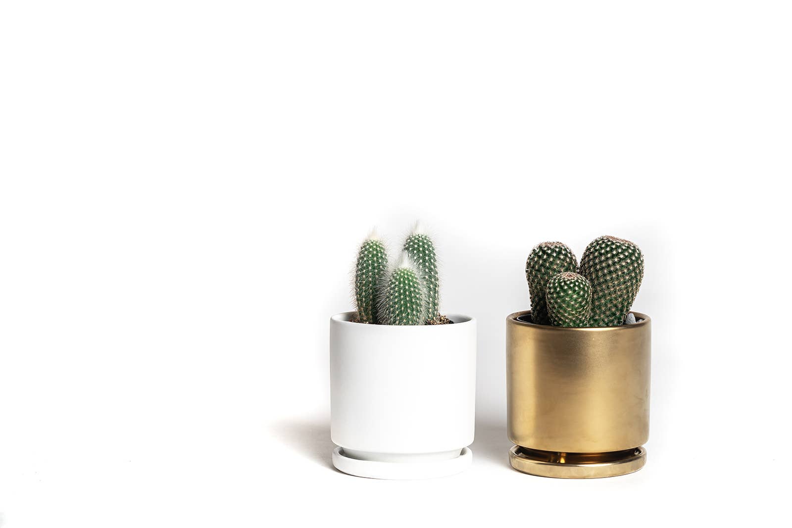 Momma Pots - Wholesale Plant Pot - 8.5" Gemstone Cylinder Pots with Water Saucers20