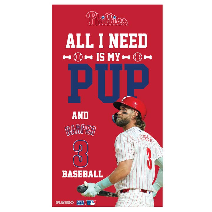 BRYCE HARPER "ALT JEG HAR BRUG FOR ER MIN HUND OG BASEBALL" SKILT for engroshandel hos Pets First