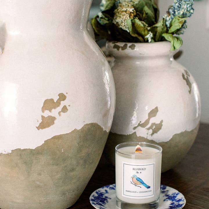 Chirp Chirp Candles - Wholesale Jar/Filled Candle - BLUEBIRD No. 6 MARIGOLD + CEDARWOOD SOY CANDLE2