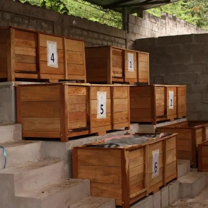 Moruga Cacao - Wholesale Hot Cocoa Mix/Kit - Chuncho Peru 🇵🇪, (Bio)7