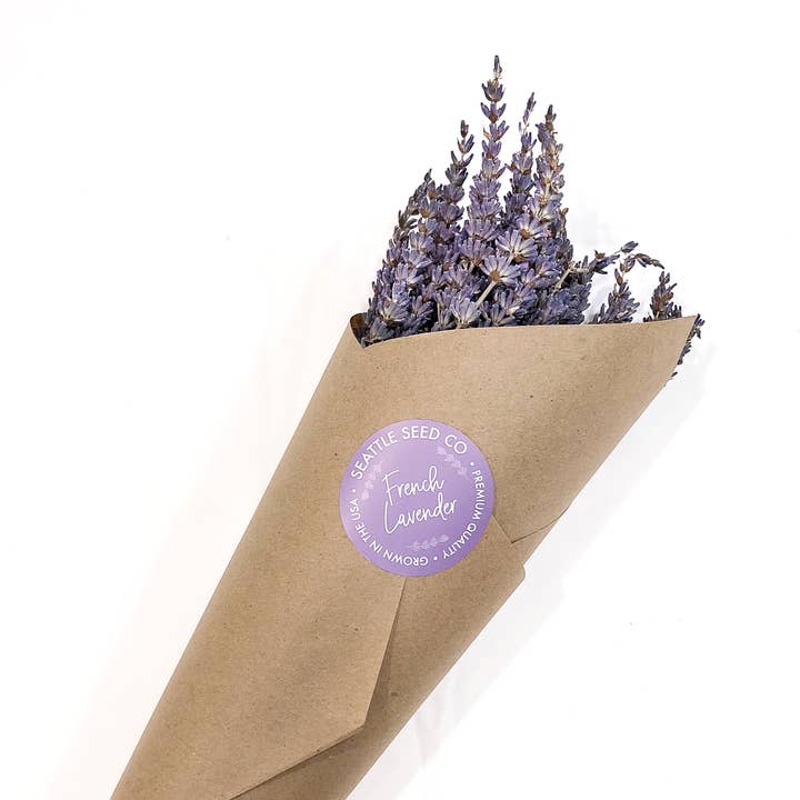 Seattle Seed Co. - Wholesale Dried/Pressed Flowers - Fragrant Dried Grosso French Lavender Flowers Home Decor